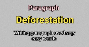 Deforestation Paragraph very easy word writing