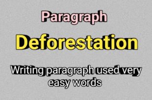 Deforestation Paragraph very easy word writing