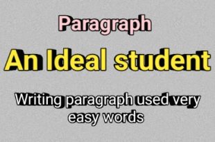 An Ideal student Paragraph very easy words used