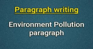 Environment Pollution paragraph
