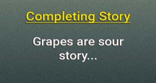 Grapes are sour completing story