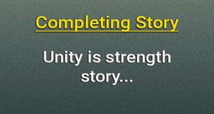 Unity is strength completing story