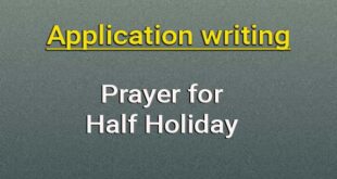 application half holiday