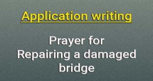 application repairing a damaged bridge