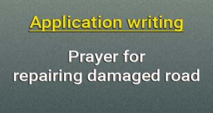 application repairing damaged road