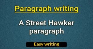 A Street Hawker paragraph