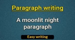 A moonlit night paragraph