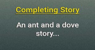 An ant and a dove completing story
