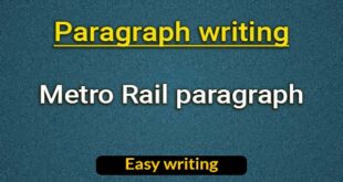 Metro Rail paragraph